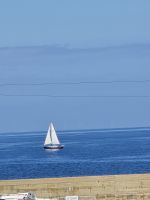 Filename=20250729_151241.jpg
Filesize=2550KiB
Dimensions=3000x4000
Date added=Oct 01, 2025 20250729_151241.jpg