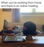 online-meeting-nap.jpg