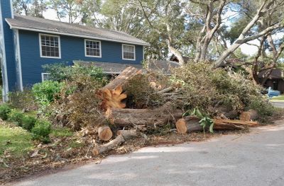 Aftermath of Hurricane Ian -- Roady
