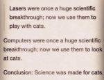 lasers-and-cats.jpg