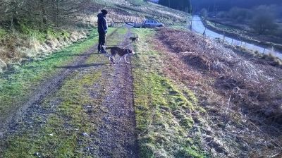 All these are pics Hobbint took while we were out walkin the dogs just past the end of our street

