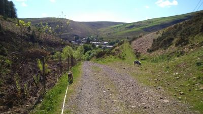 Cwmbwch - 4
Nearly there!
