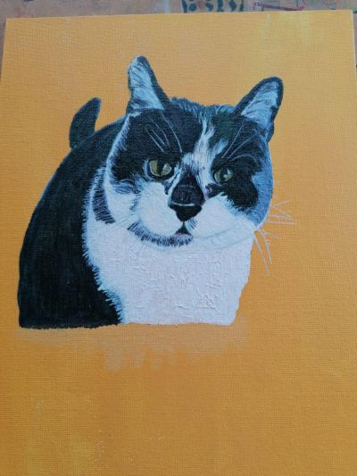 This is Misty's drawing of Pugwash's Daisy
