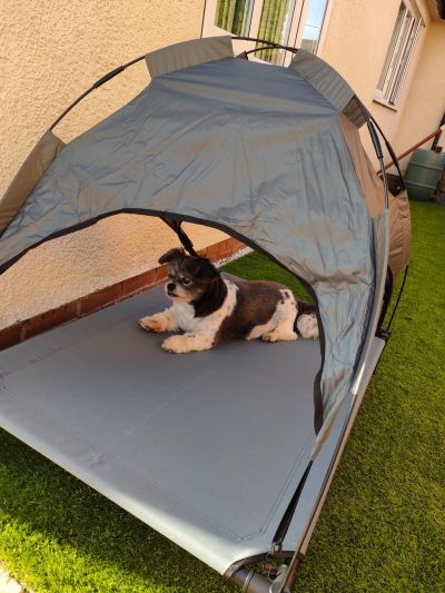 Misty's Minnie - her own little garden bed
