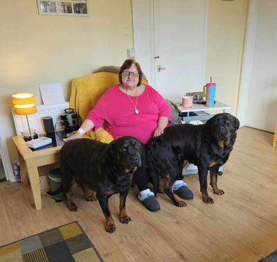 Roberta's dogs, Charlie and Bella - Pugwashf
