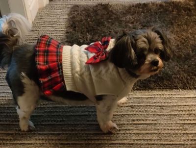 Minnie's new dress! - Mistyeyes.
