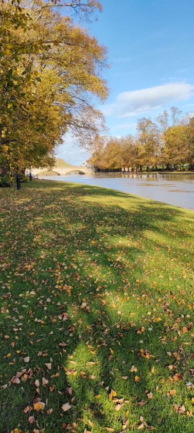Evesham Abbey Park - Misty

