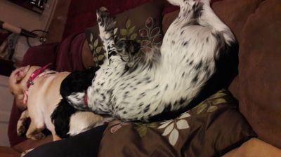 Rocco and Mitzi
