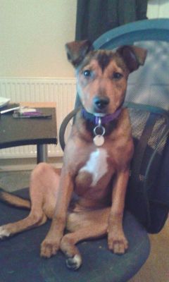 Keeping Rune's chair warm!
