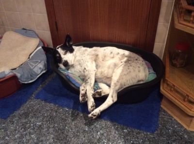 Incognitos ... Breagh
