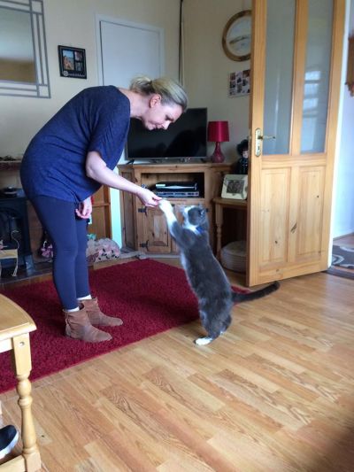 pugs 
daisy with Roberta
