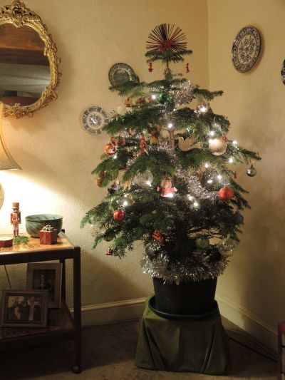 Our  Christmas  tree...last year  it  was  small.. this year it's grown into  medium !!!
