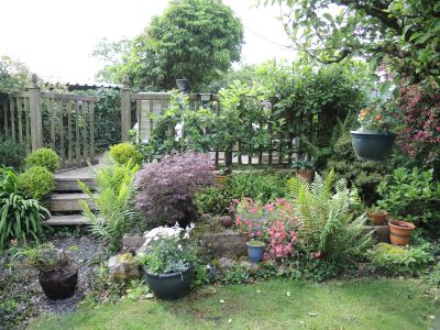 pond, decking and horizontally trained apple  tree
