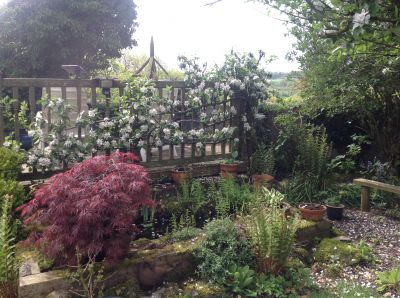 Mrs F's  garden
