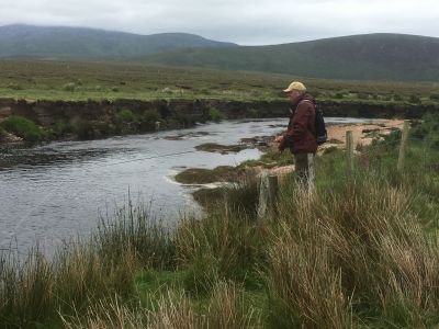 it was  28 in  the UK...  14 in County Mayo!

