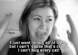 What's pugs up to now?
