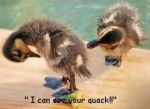 i_can_see_yer_quack.jpeg